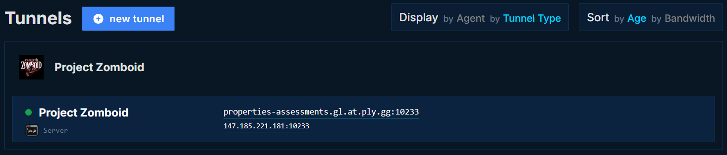 playit tunnel address